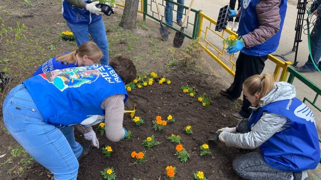 Волонтеры цветы. Волонтеры высадка растений. Посадка цветов волонтерство. Акция ко Дню Победы по высадке цветов в детском саду. Волонтера цветок.