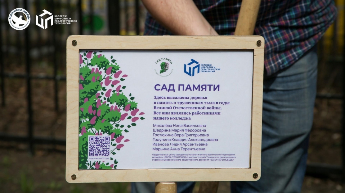 Сад памяти 2025 сколько деревьев. Сад памяти брендбук. акция сад памяти 2025. международная акция сад памяти. сад памяти брендбук 2025.