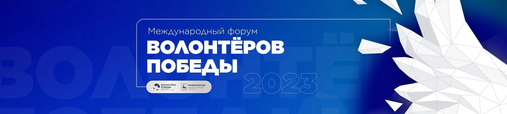 Международный форум Волонтёров Победы